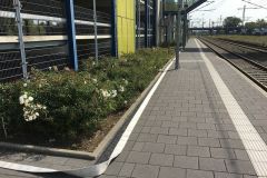 k-IMG_2034