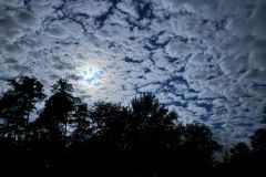 IMG-20240519-WA0036