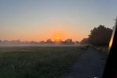 IMG-20240520-WA0011
