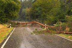 2026-07-16-unwetter13