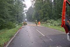 2026-07-16-unwetter6