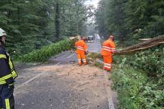 2026-07-16-unwetter7